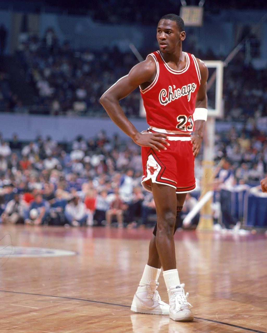 她的教练团 她的教练团