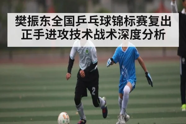 樊振东全国乒乓球锦标赛复出正手进攻技术战术深度分析